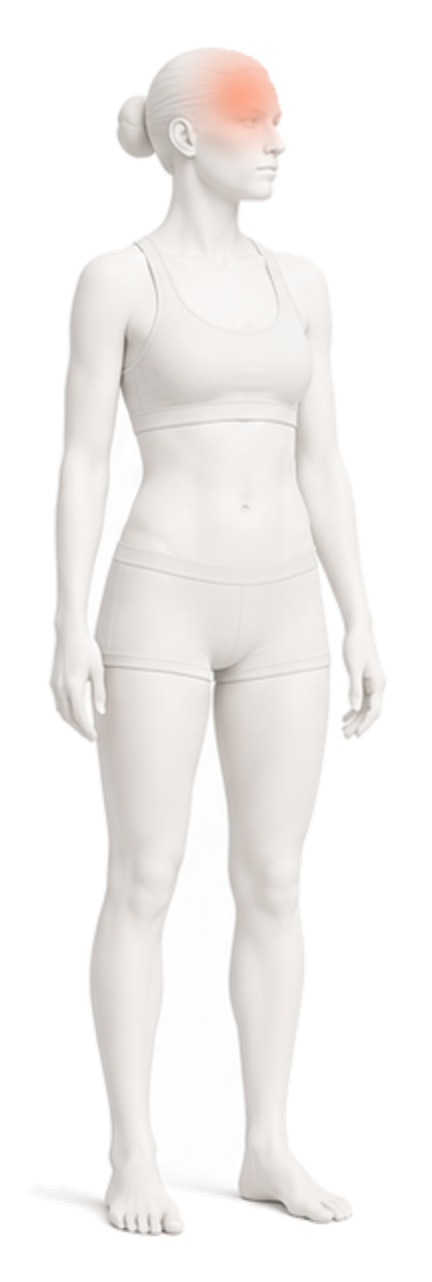 Body illustration with the head and neck highlighted.
