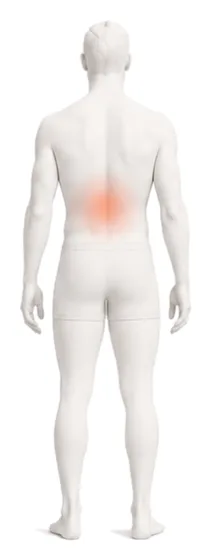 Body illustration with the lower back and neck highlighted.