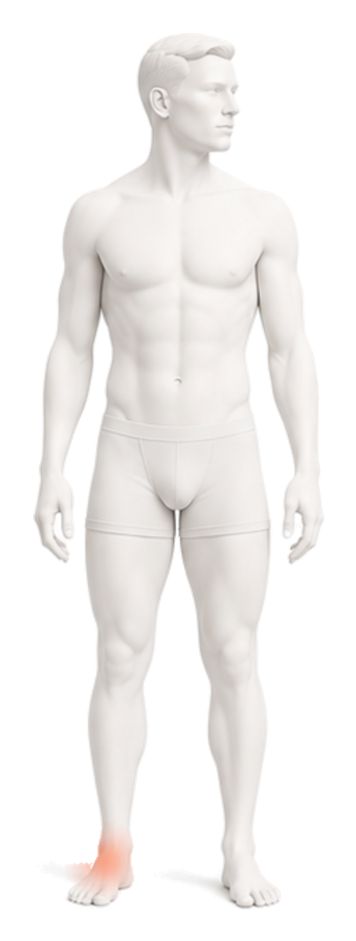 Body illustration with the outside of the ankle highlighted.