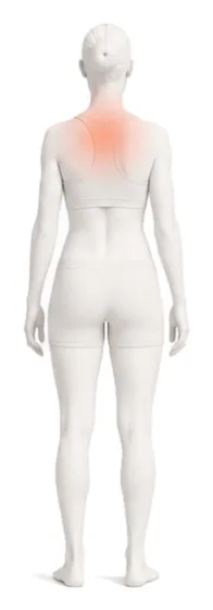 Body illustration with the shoulders and upper back highlighted.