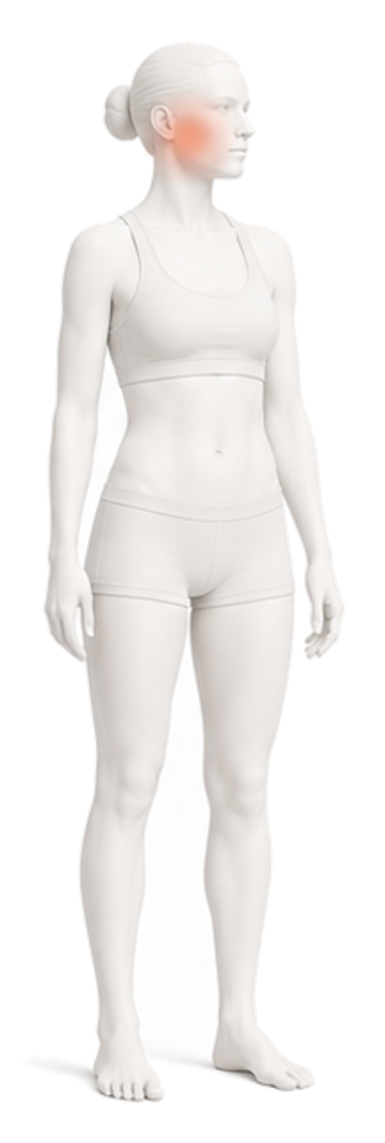 Body illustration with the jaw joint in front of the ears highlighted.